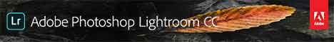 Adobe Photoshop Lightroom CC & Classic for teams Win&Mac (IE) VIP hinta per vuosi