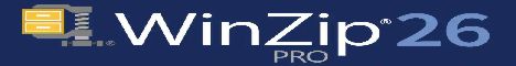 WinZip 26 Pro Win ML ESD 2-49-usr - price per user